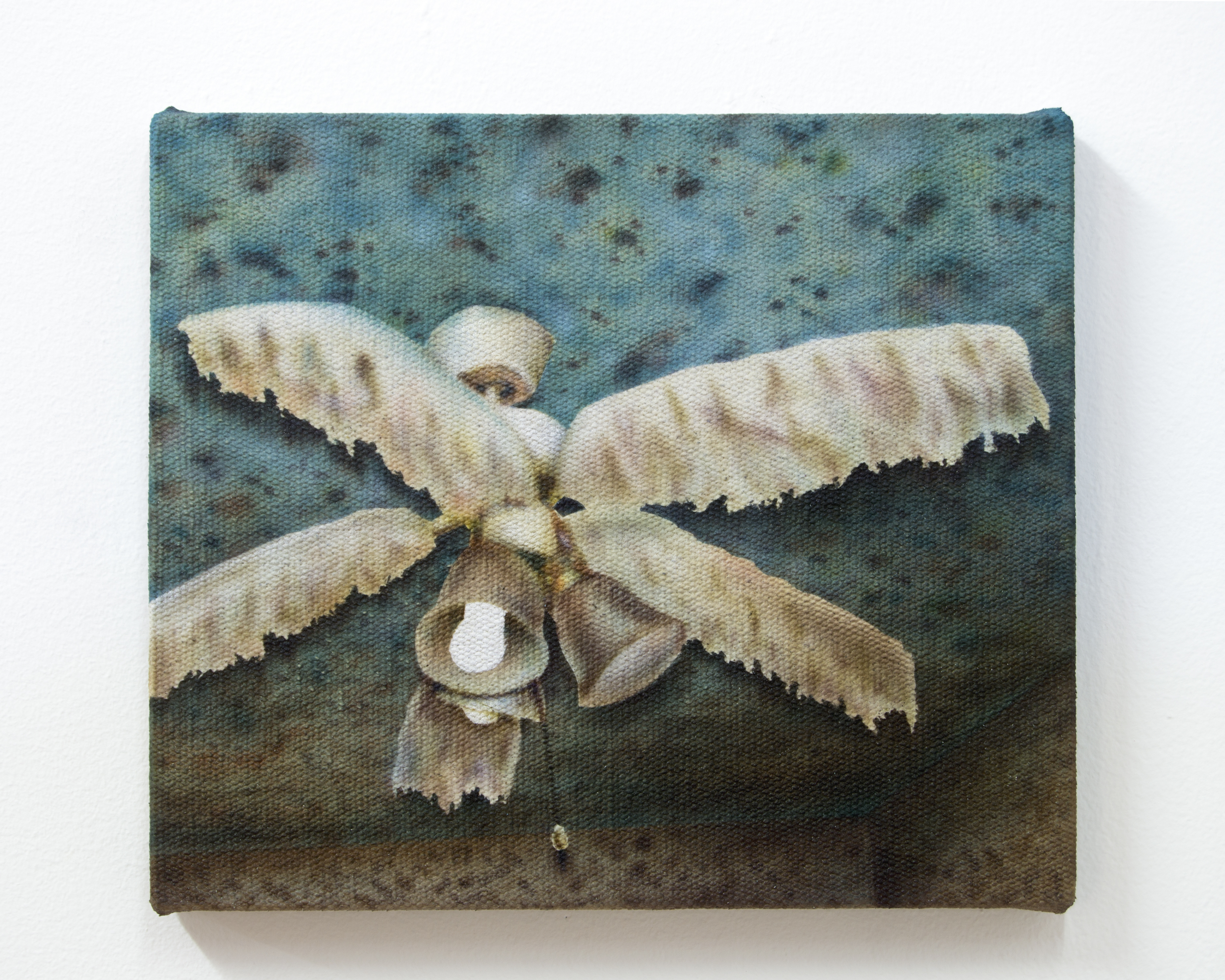 Tita Maruja. Acrílico sobre lienzo, 24 x 28 cm, 2023